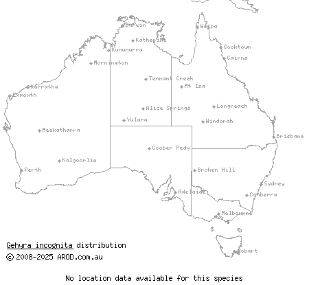 Northern Pilbara cryptic gehyra (Gehyra incognita) distribution range map