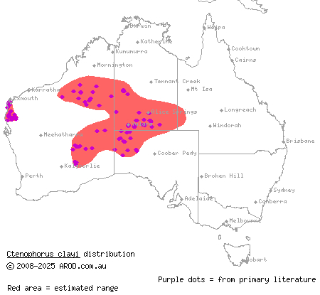 black-collared dragon (Ctenophorus clayi) distribution range map