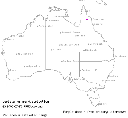 Olkola slider skink (Lerista anyara) distribution range map