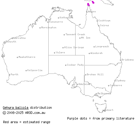 short-tailed dtella (Gehyra baliola) distribution range map