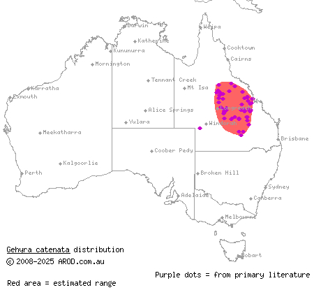 chain-backed dtella (Gehyra catenata) distribution range map