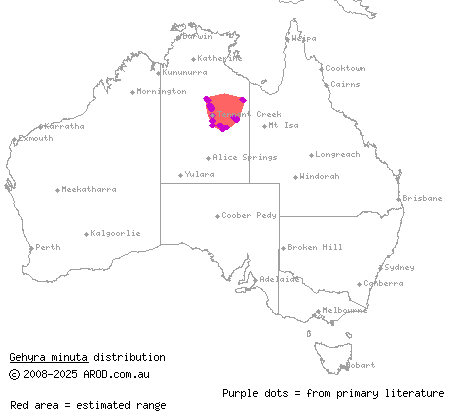 dwarf dtella (Gehyra minuta) distribution range map