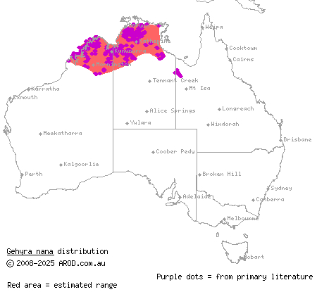 northern spotted rock dtella (Gehyra nana) distribution range map