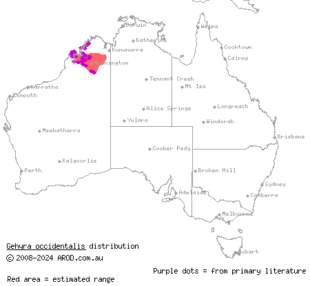 Kimberley Plateau dtella (Gehyra occidentalis) distribution range map