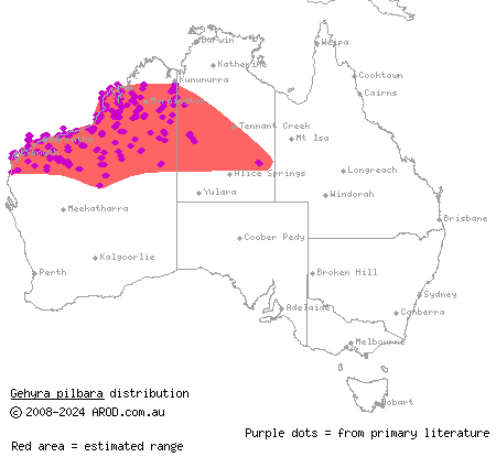 Pilbara dtella (Gehyra pilbara) distribution range map