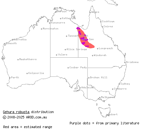 robust dtella (Gehyra robusta) distribution range map