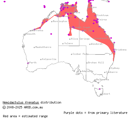 Asian house gecko (Hemidactylus frenatus) distribution range map