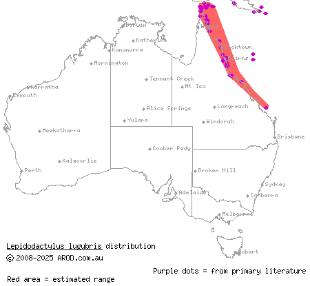 mourning gecko (Lepidodactylus lugubris) distribution range map