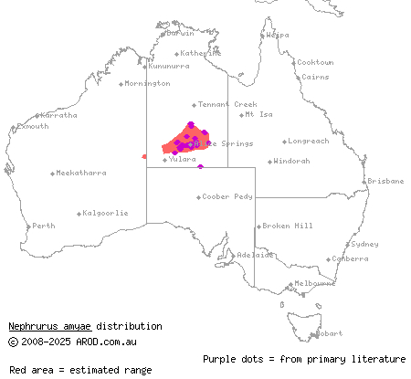 centralian knob-tailed gecko (Nephrurus amyae) distribution range map