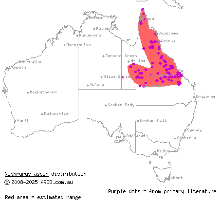 prickly knob-tailed gecko (Nephrurus asper) distribution range map