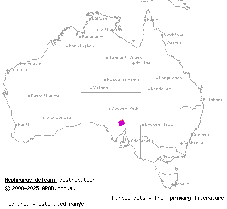 Pernatty knob-tailed gecko (Nephrurus deleani) distribution range map