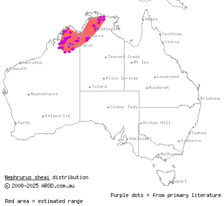 northern knob-tailed gecko (Nephrurus sheai) distribution range map