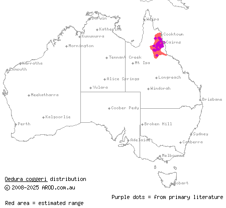 northern spotted velvet gecko (Oedura coggeri) distribution range map