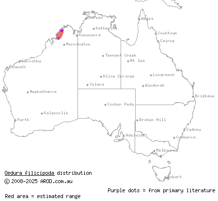 fringe-toed velvet gecko (Oedura filicipoda) distribution range map