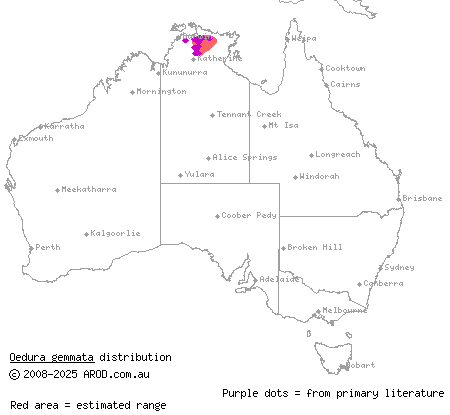 dotted velvet gecko (Oedura gemmata) distribution range map