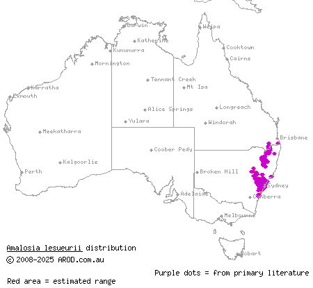 Lesueur's velvet gecko (Amalosia lesueurii) distribution range map