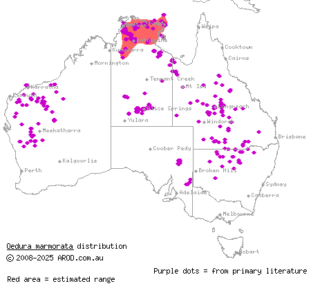 marbled velvet gecko (Oedura marmorata) distribution range map