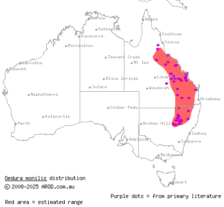 ocellated velvet gecko (Oedura monilis) distribution range map