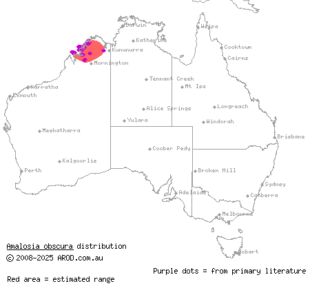 slim velvet gecko (Amalosia obscura) distribution range map