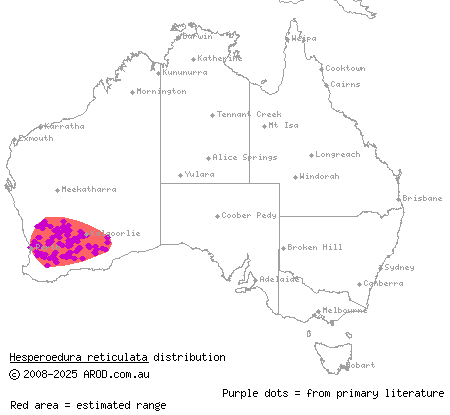 reticulated velvet gecko (Hesperoedura reticulata) distribution range map