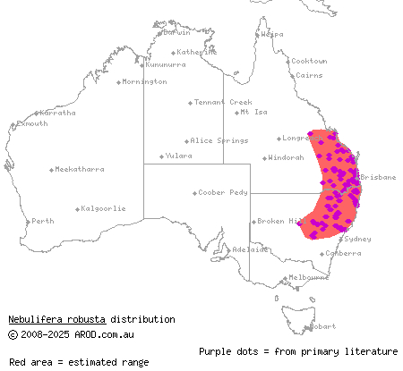 robust velvet gecko (Nebulifera robusta) distribution range map