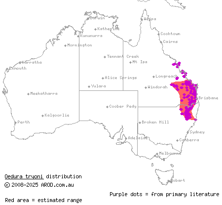 southern spotted velvet gecko (Oedura tryoni) distribution range map