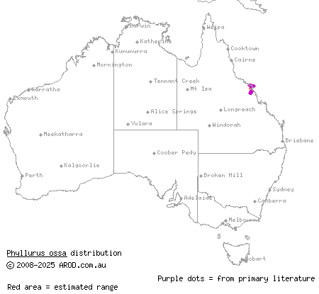 Mount Ossa leaf-tailed gecko (Phyllurus ossa) distribution range map