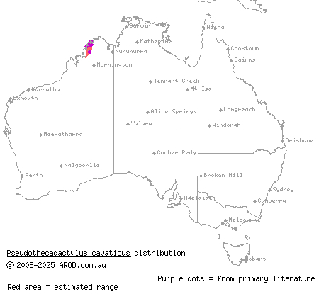 western giant cave gecko (Pseudothecadactylus cavaticus) distribution range map