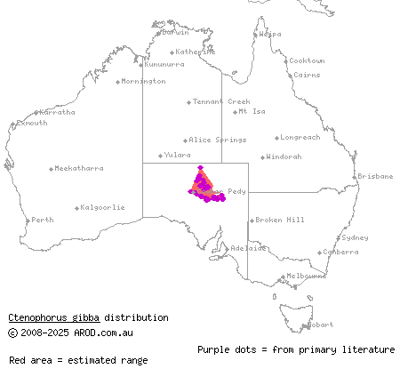 gibber dragon (Ctenophorus gibba) distribution range map