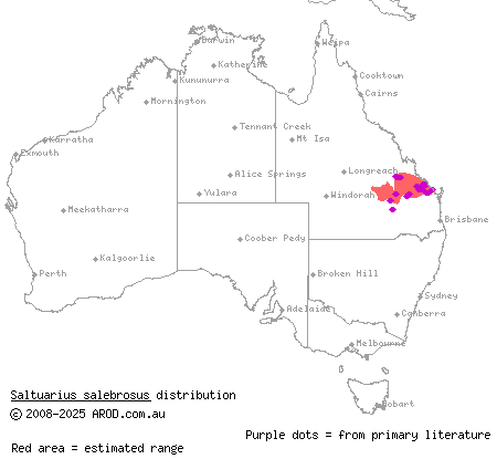 rough-throated leaf-tailed gecko (Saltuarius salebrosus) distribution range map