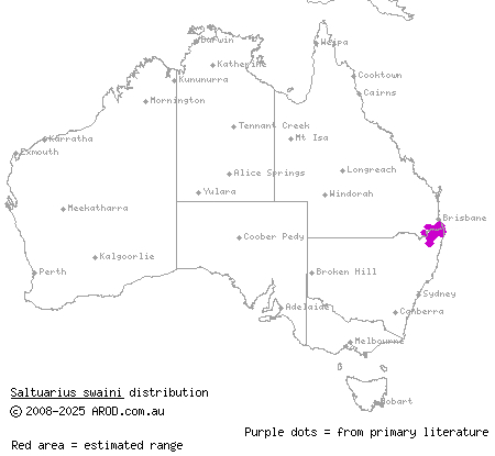 southern leaf-tailed gecko (Saltuarius swaini) distribution range map