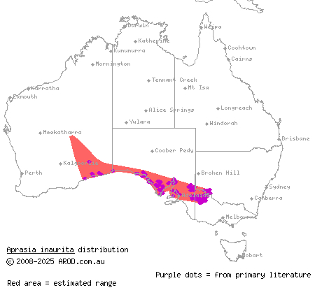 red-tailed worm-lizard (Aprasia inaurita) distribution range map