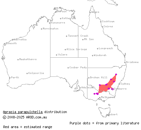 pink-tailed worm-lizard (Aprasia parapulchella) distribution range map