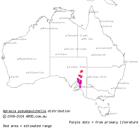 Flinders worm-lizard (Aprasia pseudopulchella) distribution range map