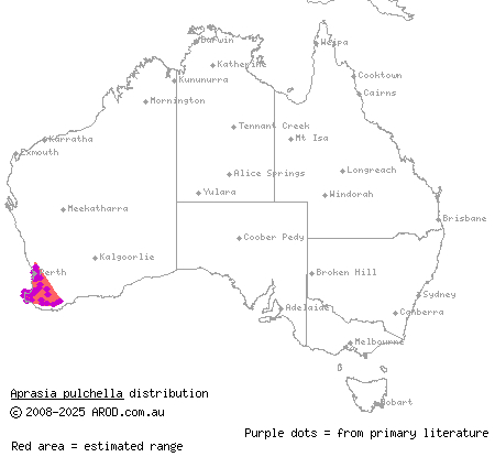 granite worm-lizard (Aprasia pulchella) distribution range map