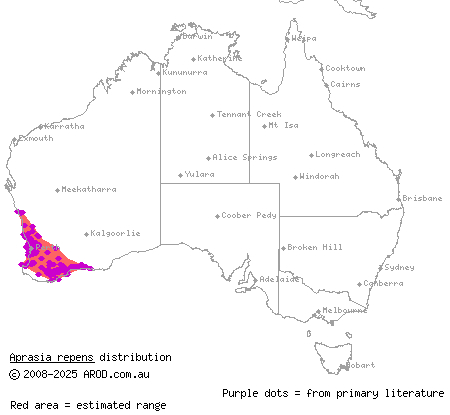 sand-plain worm-lizard (Aprasia repens) distribution range map