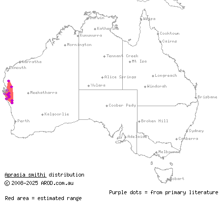 black-tipped worm-lizard (Aprasia smithi) distribution range map