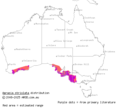 lined worm-lizard (Aprasia striolata) distribution range map