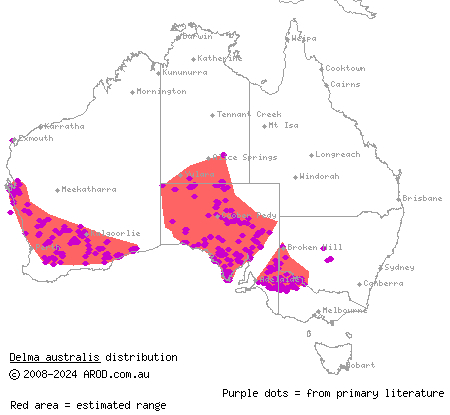 marble-faced delma (Delma australis) distribution range map