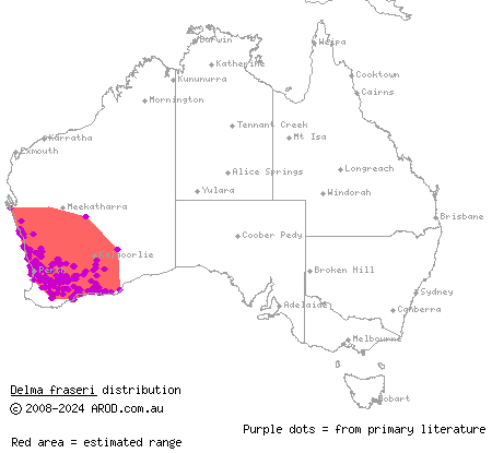 Fraser's delma (Delma fraseri) distribution range map