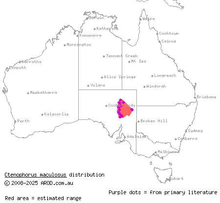 Lake Eyre dragon (Ctenophorus maculosus) distribution range map