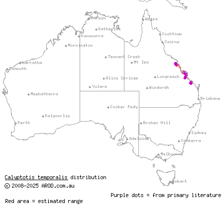 broad-templed calyptotis (Calyptotis temporalis) distribution range map