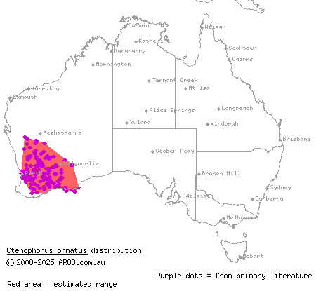 ornate dragon (Ctenophorus ornatus) distribution range map