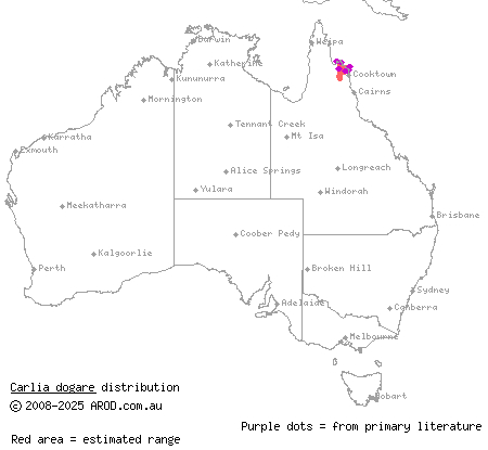 sandy rainbow-skink (Carlia dogare) distribution range map