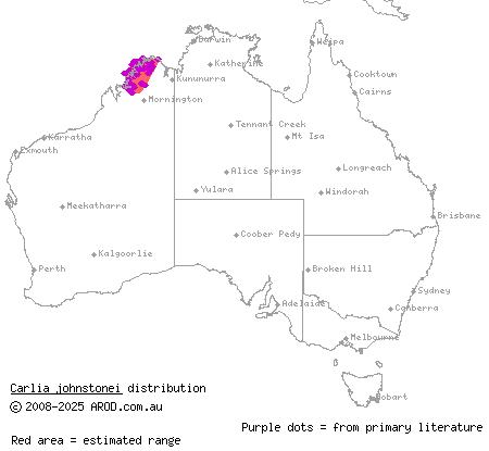 rough brown rainbow-skink (Carlia johnstonei) distribution range map