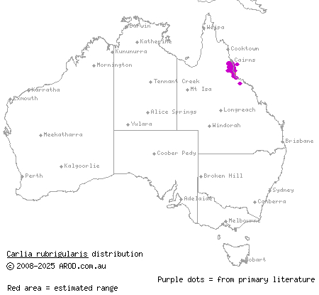 southern red-throated rainbow-skink (Carlia rubrigularis) distribution range map