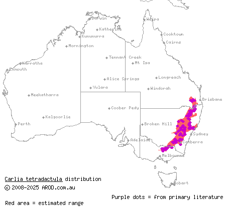 southern rainbow-skink (Carlia tetradactyla) distribution range map