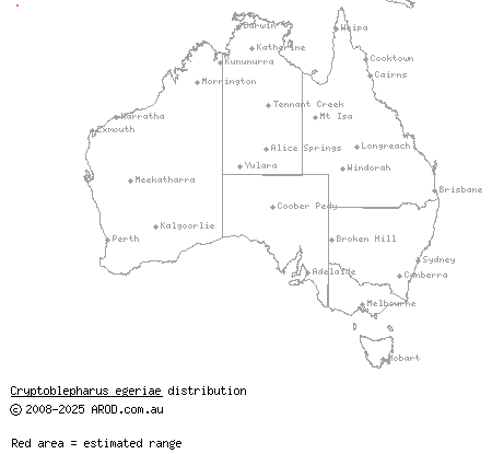 blue-tailed snake-eyed skink (Cryptoblepharus egeriae) distribution range map