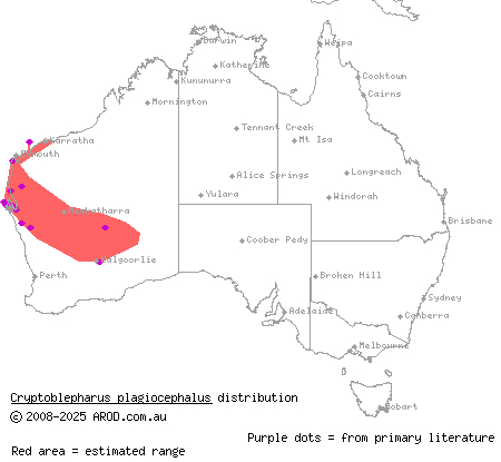 PÃ©ron's snake-eyed skink (Cryptoblepharus plagiocephalus) distribution range map