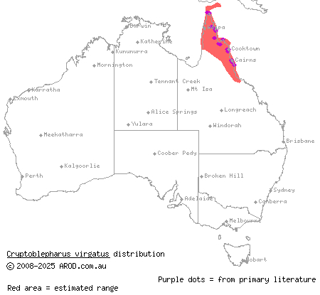 wall skink (Cryptoblepharus virgatus) distribution range map